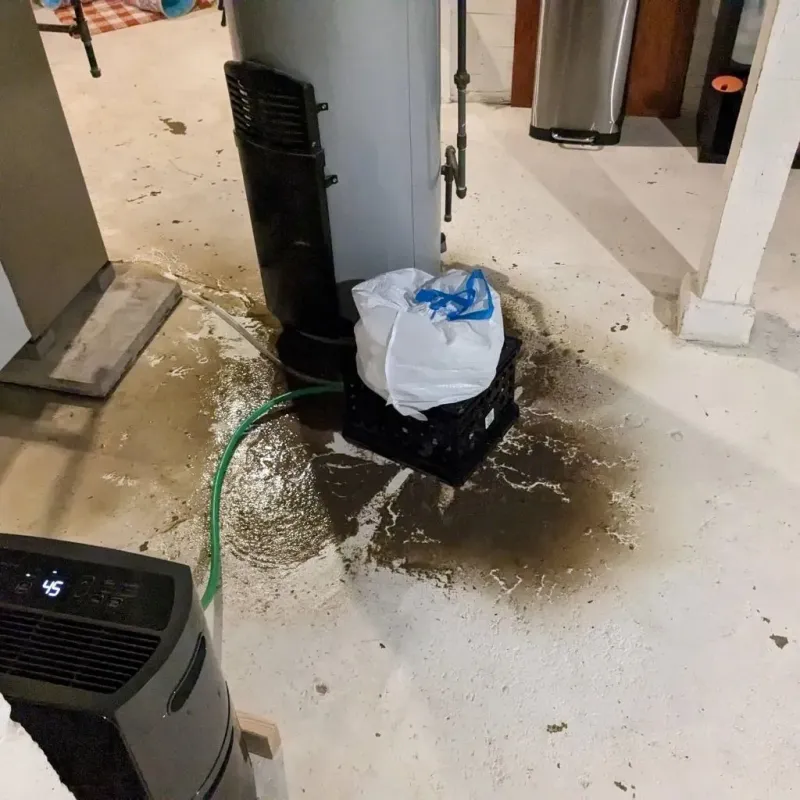 Sewage Backup Cleanup Service in Weston, WI